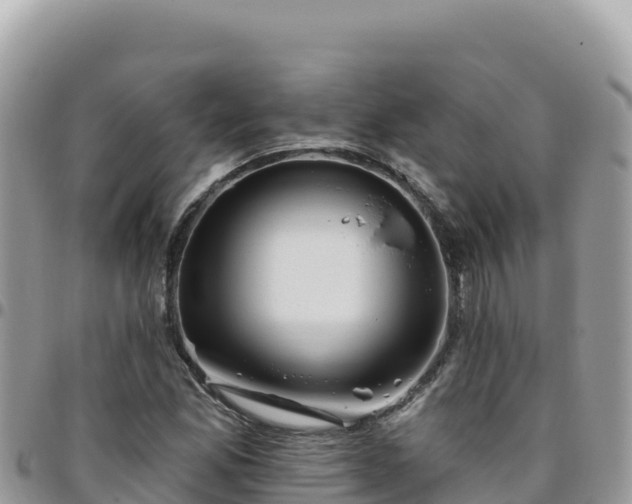 X0000095931165200801181433