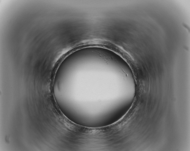 X0000095931166200801181433