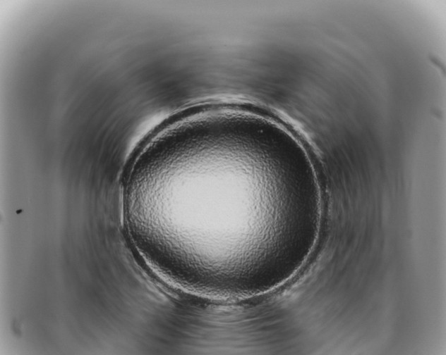 X0000095931171200801181433
