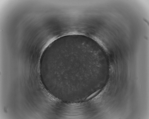 X0000095931173200801181433