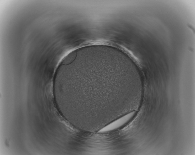 X0000095931174200801181433