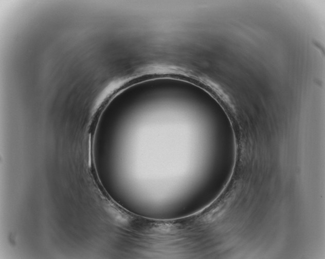 X0000095931175200801181433