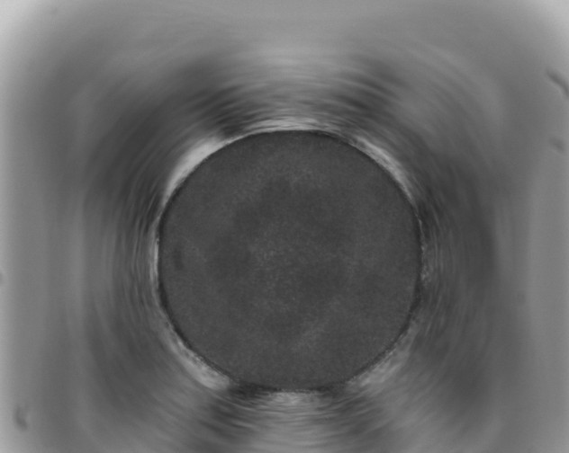X0000095931179200801181433