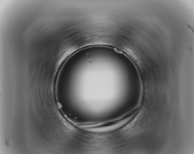 X0000095931181200801181433