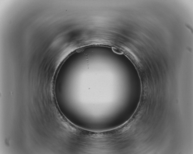 X0000095931182200801181433