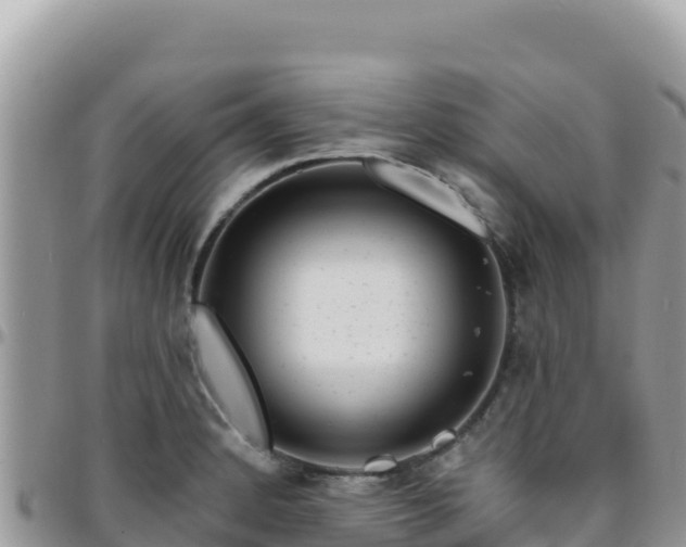 X0000095931184200801181433