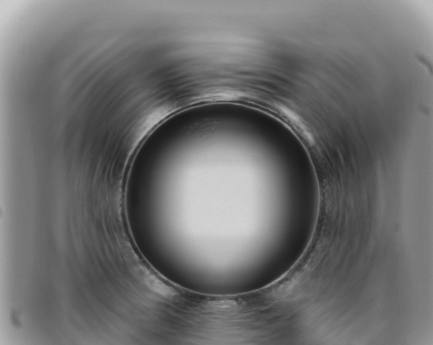 X0000095931186200801181433