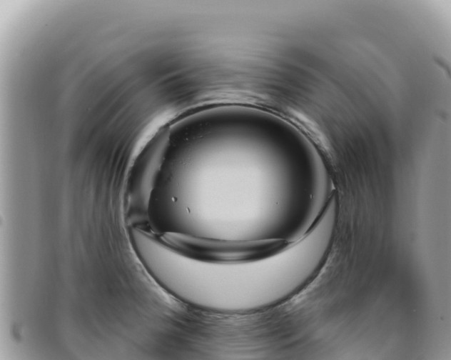 X0000095931188200801181433