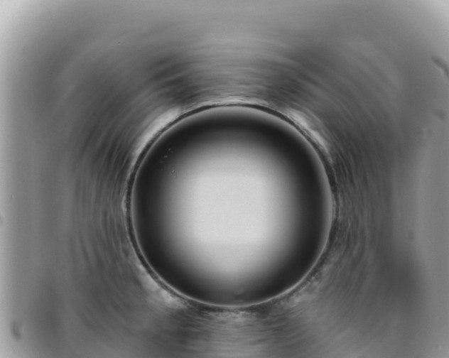 X0000095931189200801181433