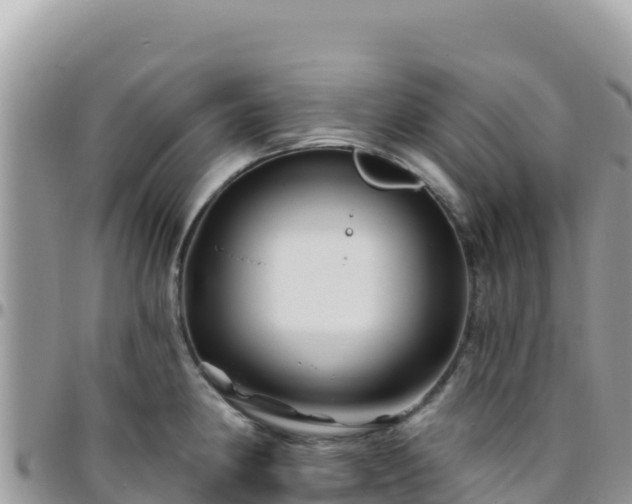 X0000095931190200801181433