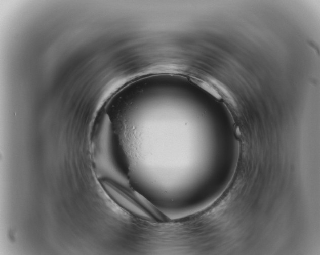 X0000095931192200801181433