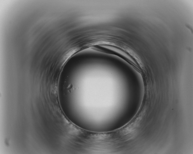 X0000095931193200801181433