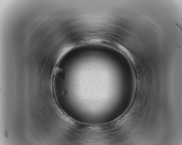 X0000095931194200801181433