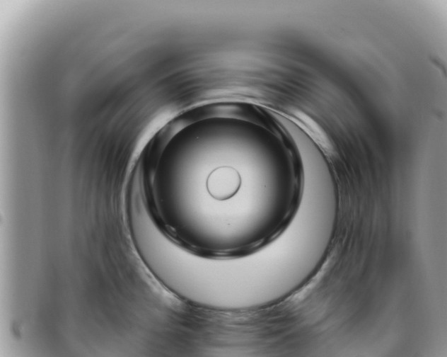 X0000095931196200801181433
