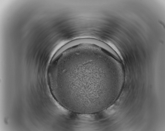 X0000095931197200801181433