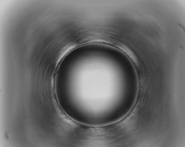X0000095931198200801181433
