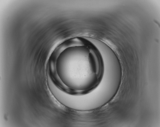 X0000095931200200801181433