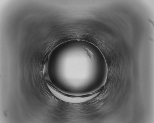X0000095931202200801181432