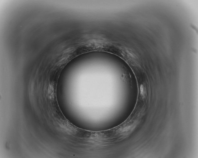X0000095931203200801181432