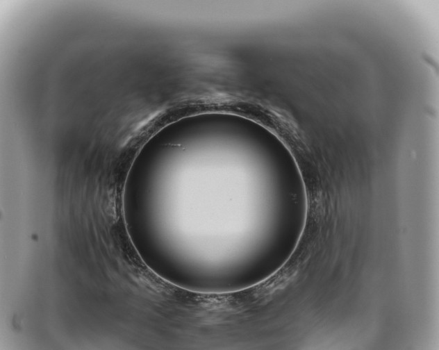 X0000095931205200801181432