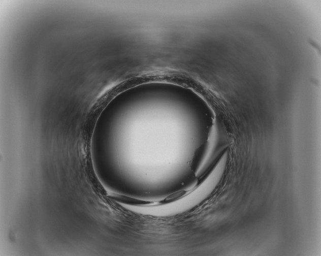X0000095931206200801181432