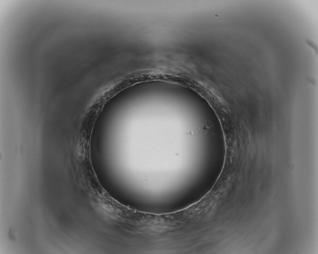 X0000095931207200801181432