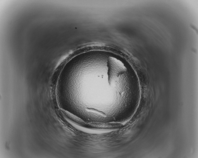 X0000095931208200801181432