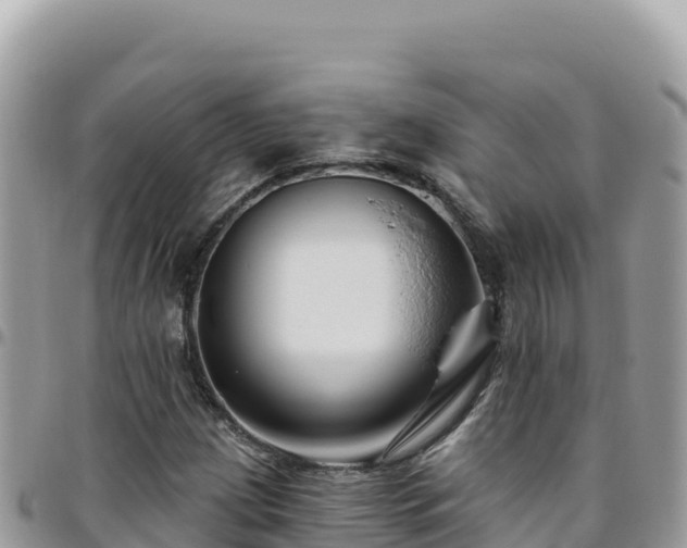 X0000095931209200801181432