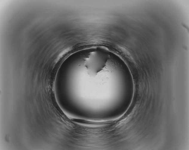 X0000095931210200801181432