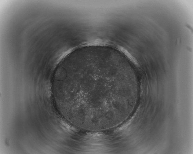 X0000095931213200801181432