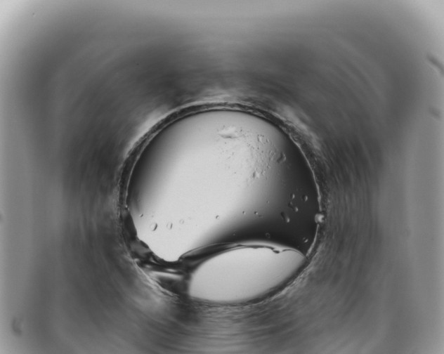 X0000095931216200801181432