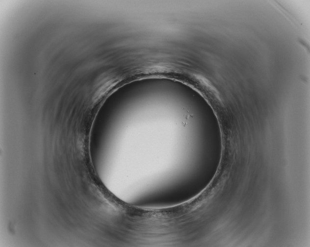 X0000095931217200801181432