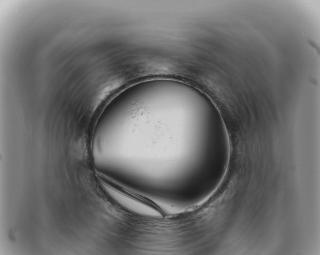 X0000095931218200801181432