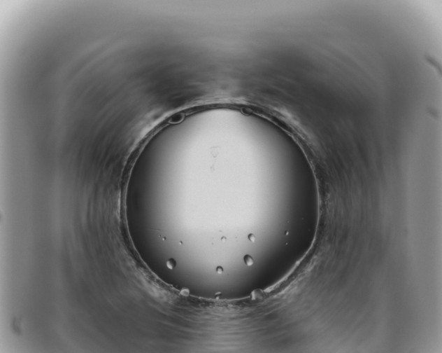X0000095931220200801181432