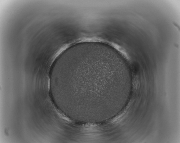 X0000095931221200801181432
