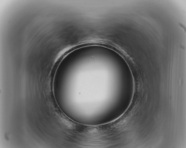 X0000095931222200801181432
