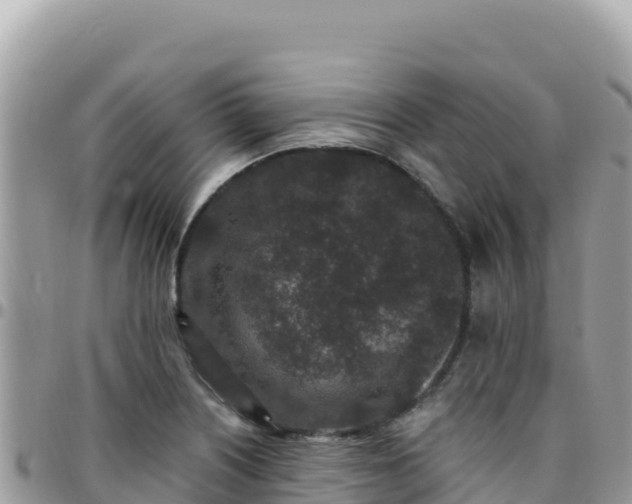 X0000095931226200801181432