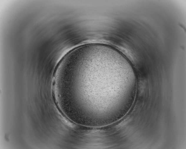 X0000095931228200801181432
