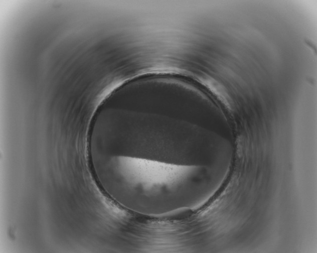 X0000095931229200801181432