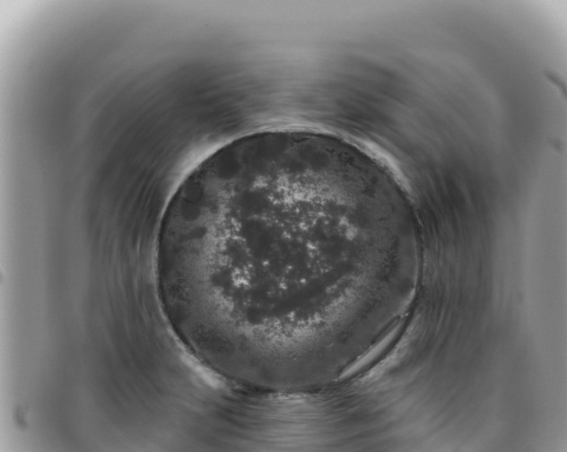 X0000095931231200801181432