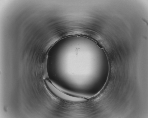 X0000095931233200801181432