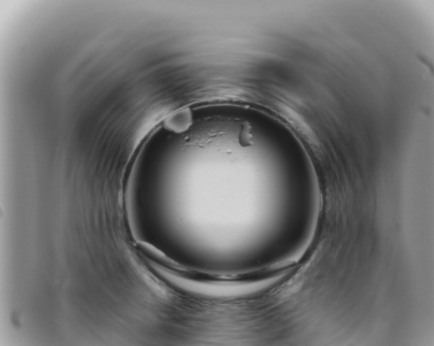 X0000095931234200801181432