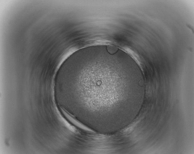 X0000095931235200801181432