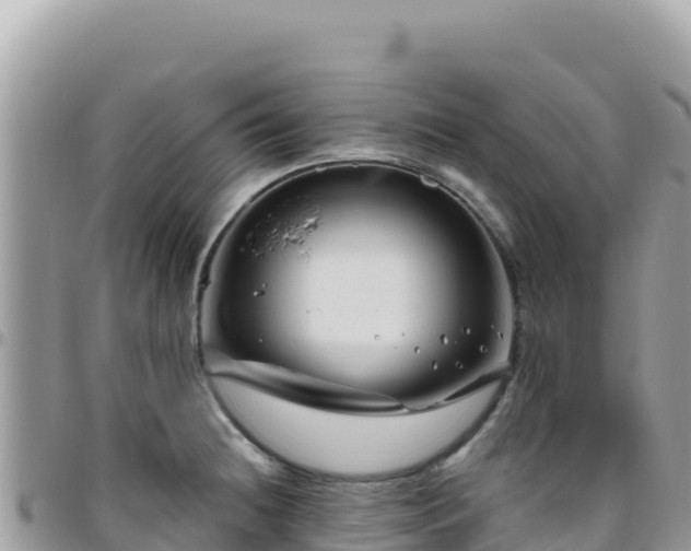 X0000095931236200801181432