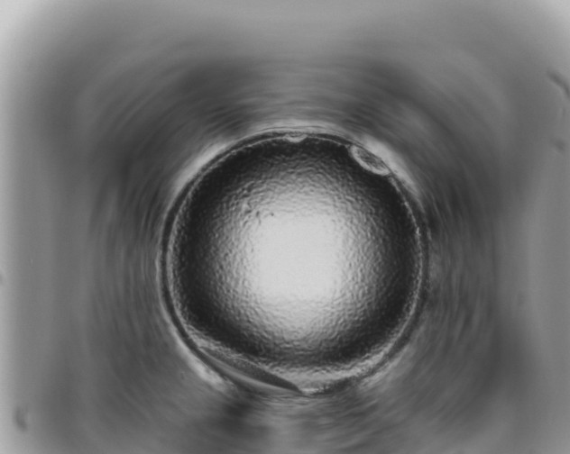 X0000095931237200801181432