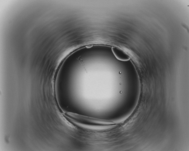 X0000095931238200801181432