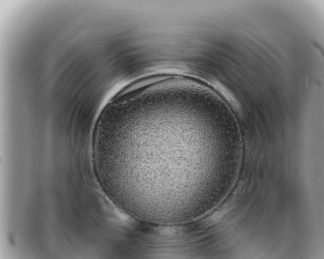X0000095931240200801181432