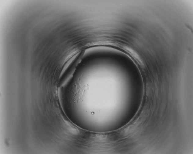 X0000095931241200801181432