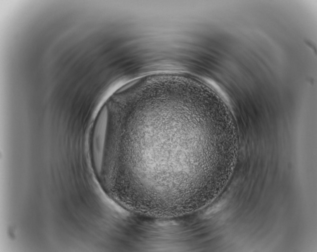 X0000095931243200801181433