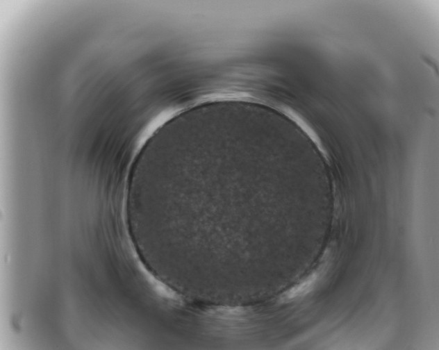 X0000095931245200801181433